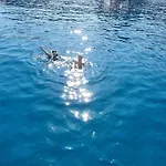 Hotel en barco Sailing Edisa Rhodes Adventures